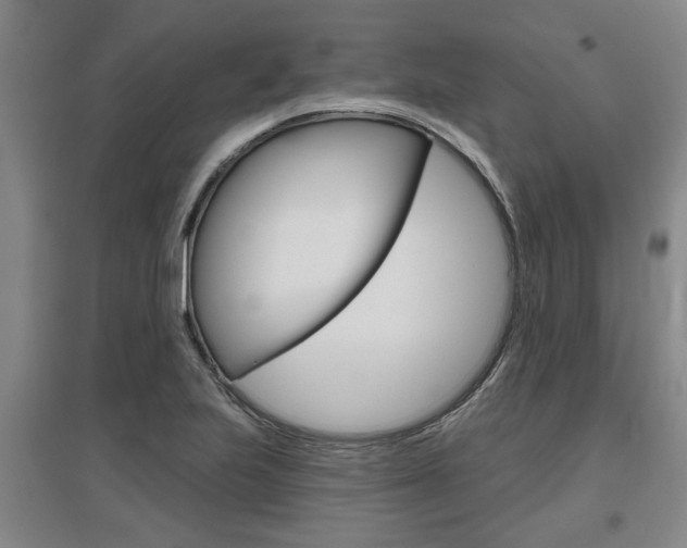 X0000095921223200801110847