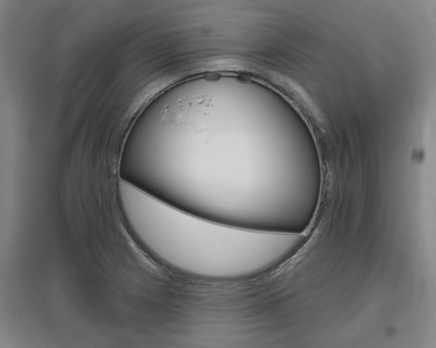 X0000095921225200801110847