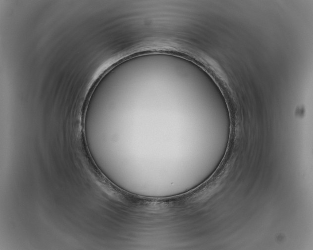X0000095921226200801110847