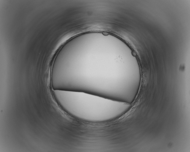 X0000095921227200801110847