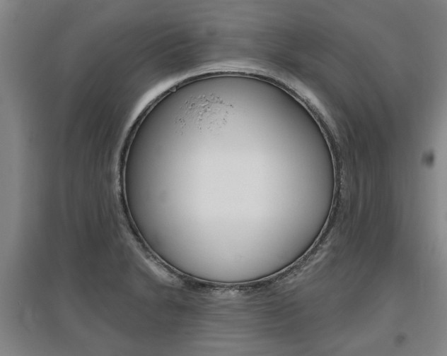 X0000095921230200801110847