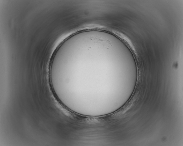 X0000095921231200801110847