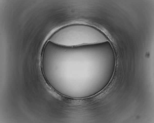 X0000095921232200801110847