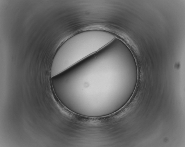 X0000095921233200801110847