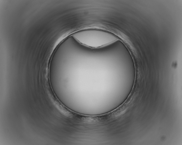 X0000095921234200801110847