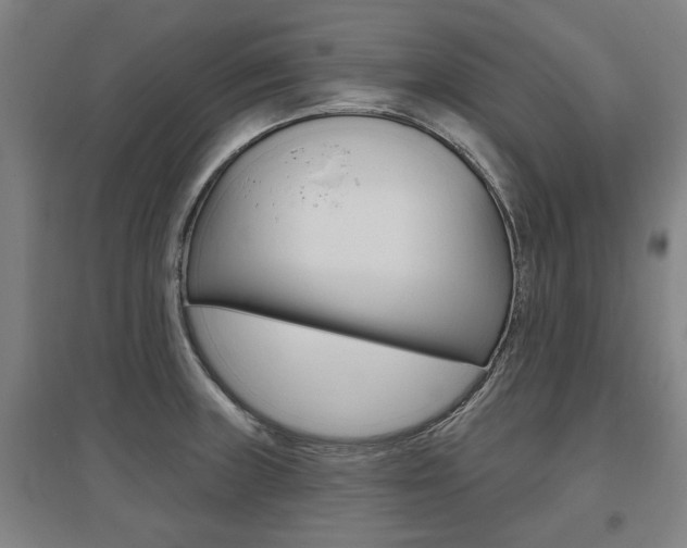 X0000095921235200801110847