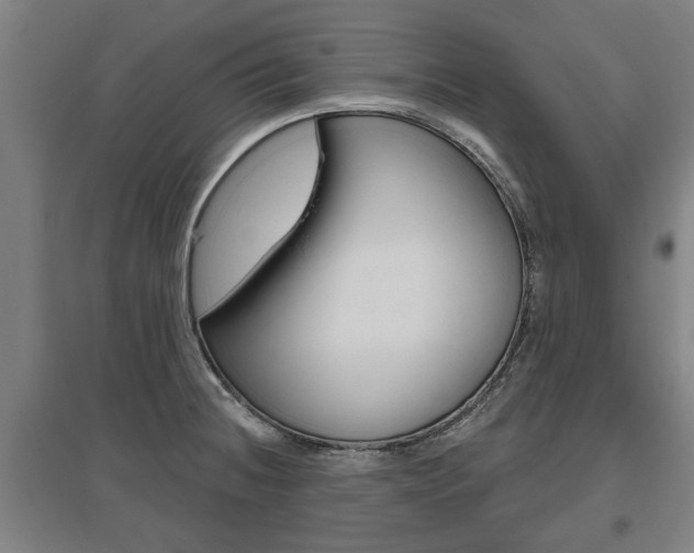 X0000095921236200801110847