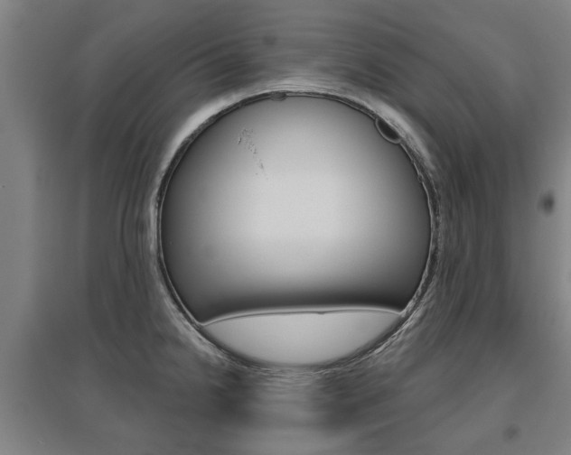 X0000095921238200801110847