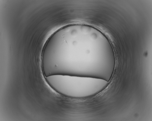 X0000095921239200801110847