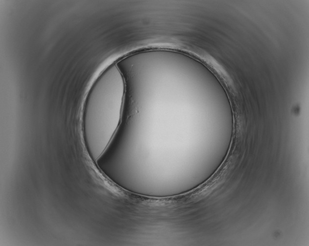 X0000095921240200801110847