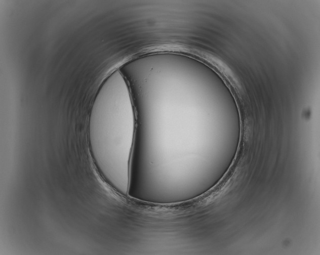 X0000095921241200801110847
