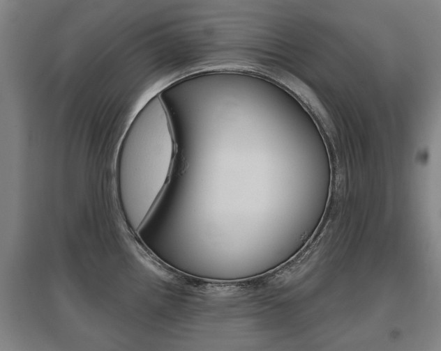 X0000095921242200801110847
