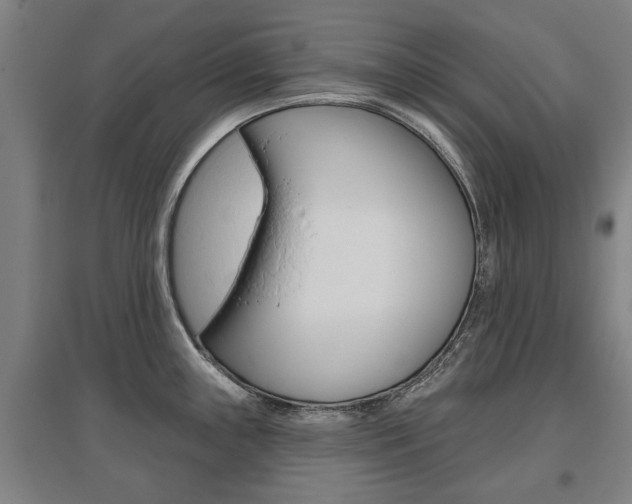 X0000095921243200801110847