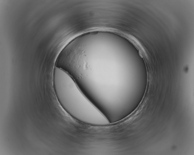 X0000095921244200801110847