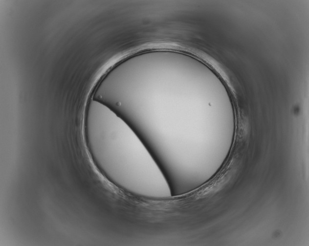 X0000095921245200801110847