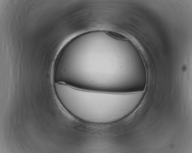 X0000095921246200801110847