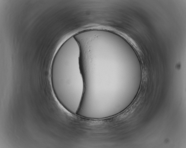 X0000095921247200801110847