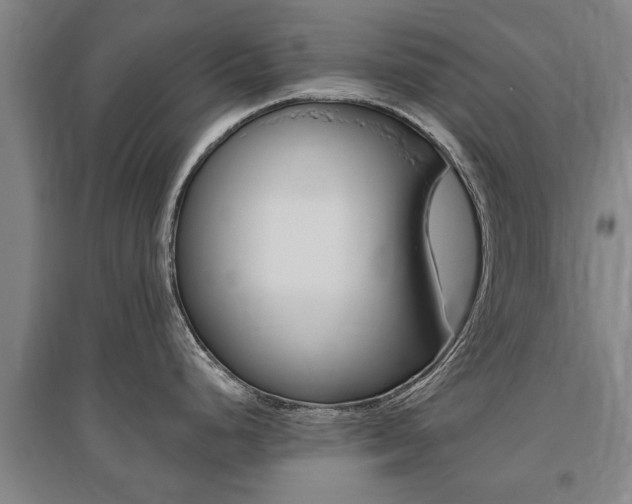 X0000095921248200801110847