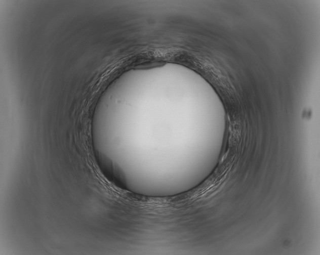 X0000095921249200801110846