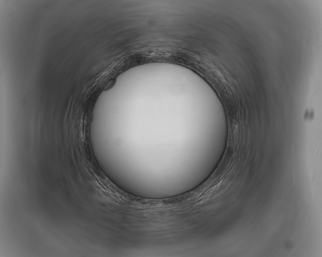 X0000095921250200801110846