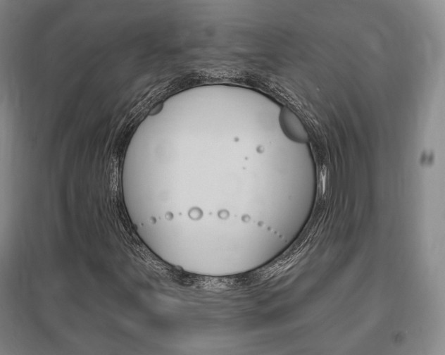 X0000095921251200801110846