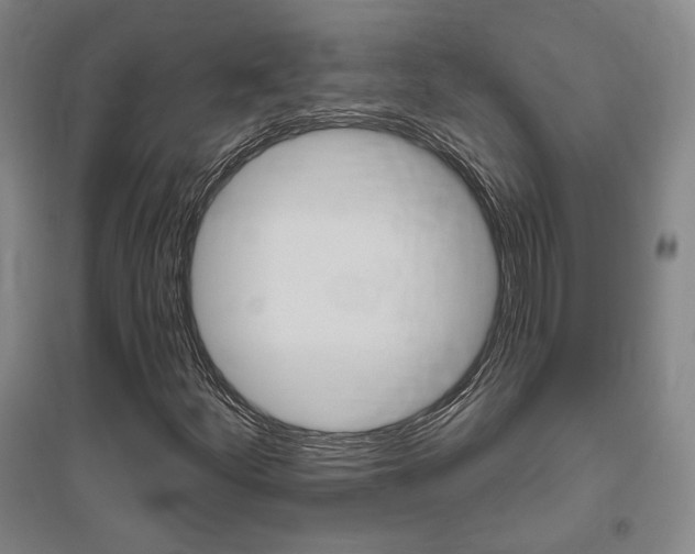 X0000095921252200801110846