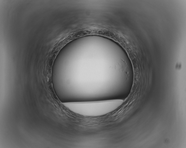 X0000095921253200801110846