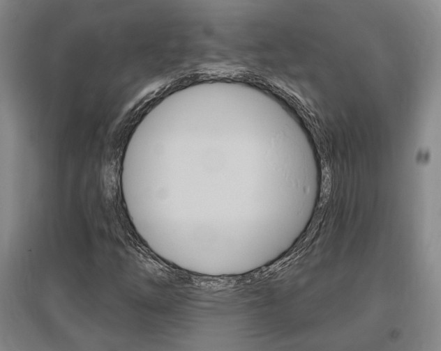 X0000095921254200801110846
