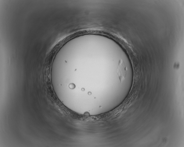 X0000095921255200801110846