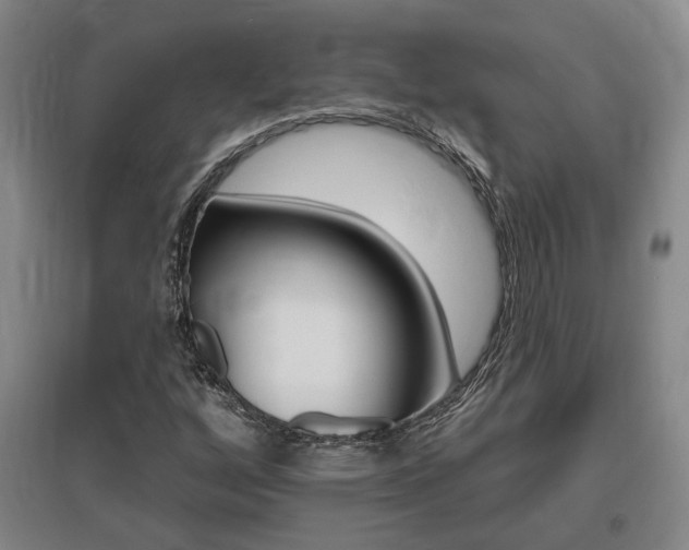 X0000095921256200801110846