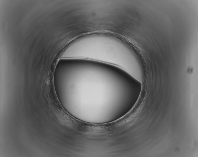 X0000095921257200801110846