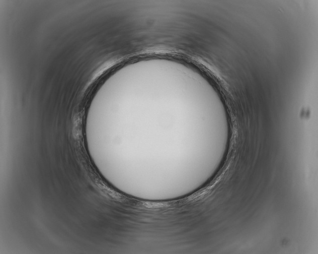 X0000095921258200801110846