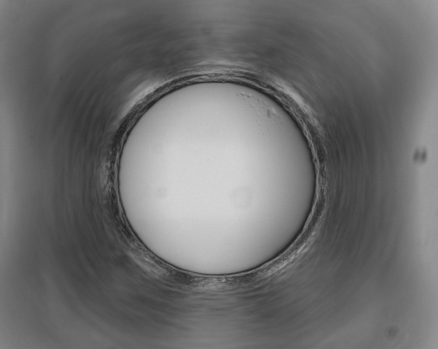 X0000095921259200801110846