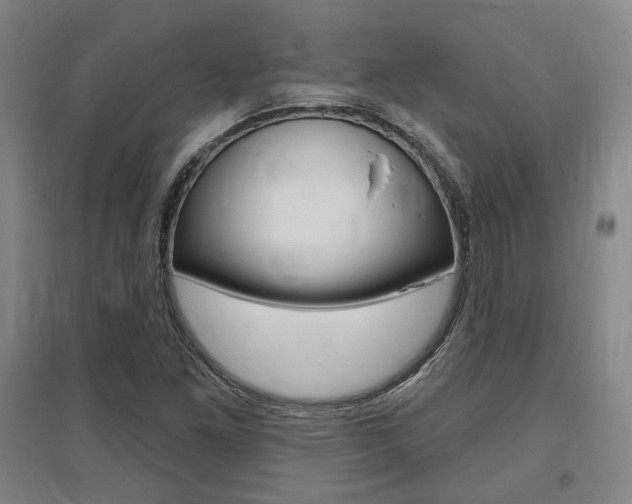 X0000095921261200801110846