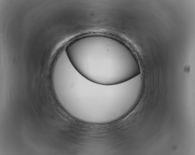 X0000095921262200801110846