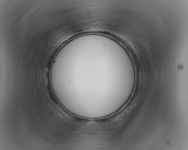 X0000095921265200801110846