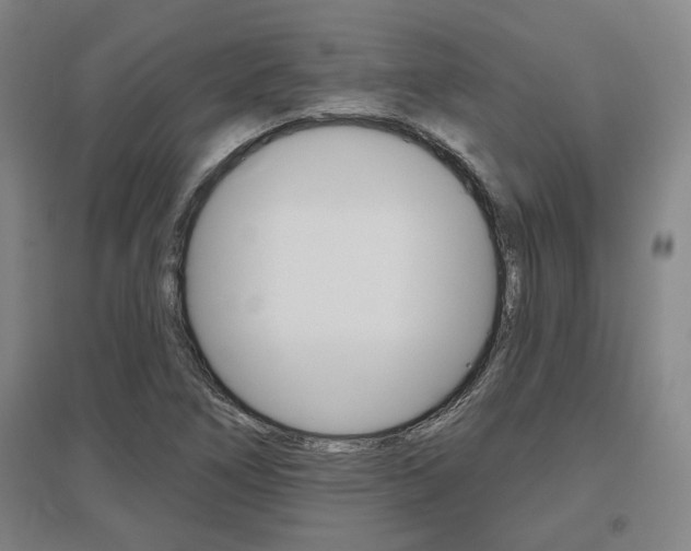 X0000095921266200801110846