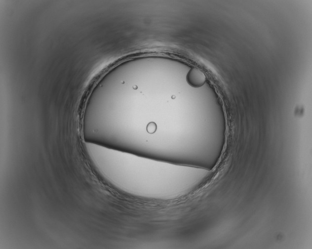 X0000095921267200801110846