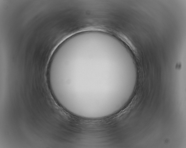 X0000095921268200801110846