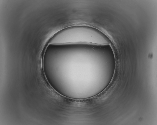 X0000095921269200801110846