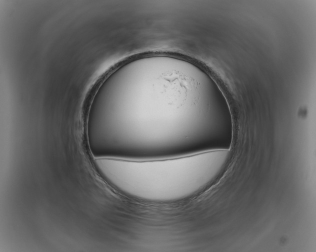 X0000095921270200801110846
