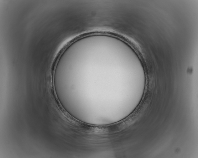 X0000095921271200801110846