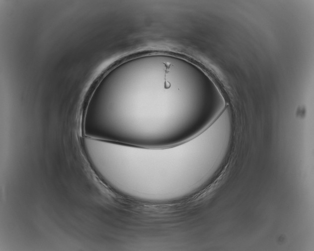 X0000095921272200801110846