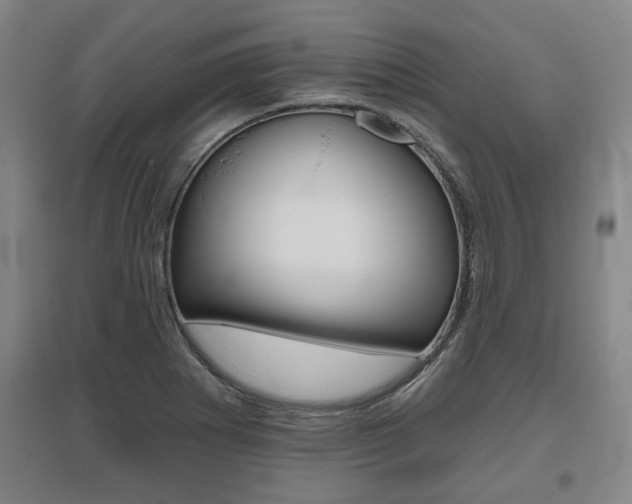 X0000095921273200801110846