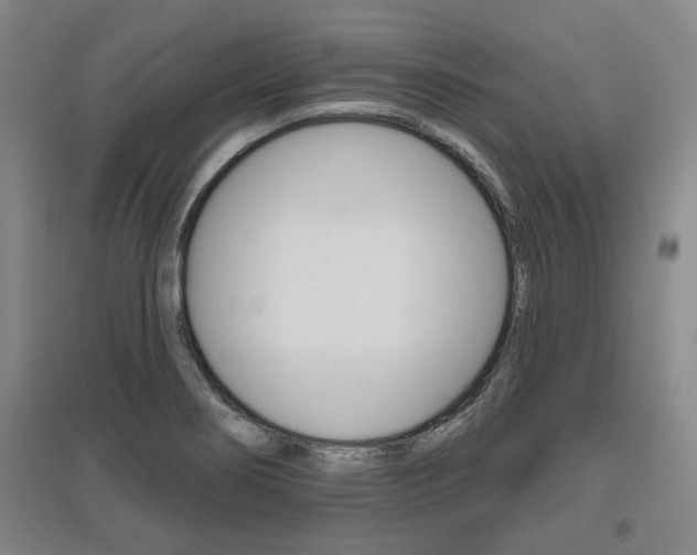 X0000095921274200801110846