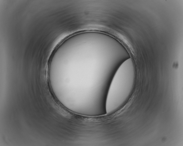 X0000095921275200801110846