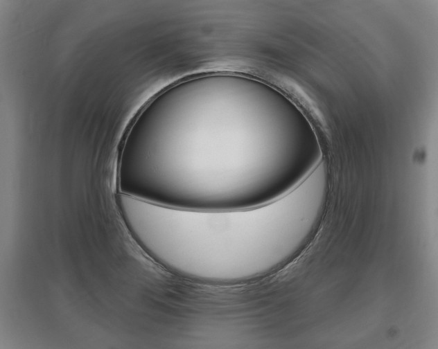 X0000095921276200801110846