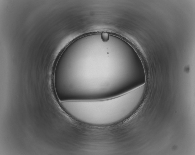 X0000095921277200801110846
