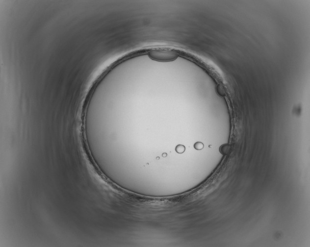 X0000095921279200801110846