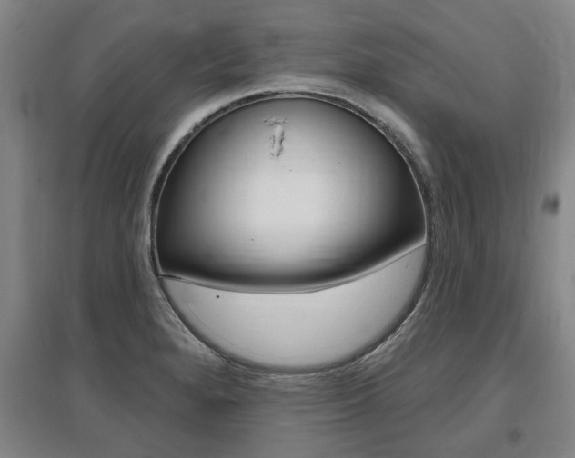 X0000095921280200801110846
